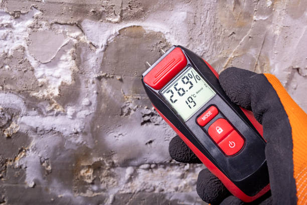 Best Attic Mold Removal  in Canton, OH